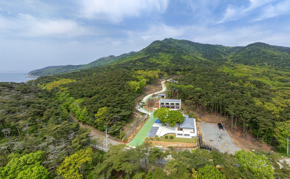 덕적도 자연휴양림, 개장 7개월 만에 1만 3천 명 방문