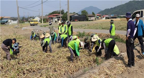 대구시, 민·관 힘 모아 농촌 일손돕기 나서