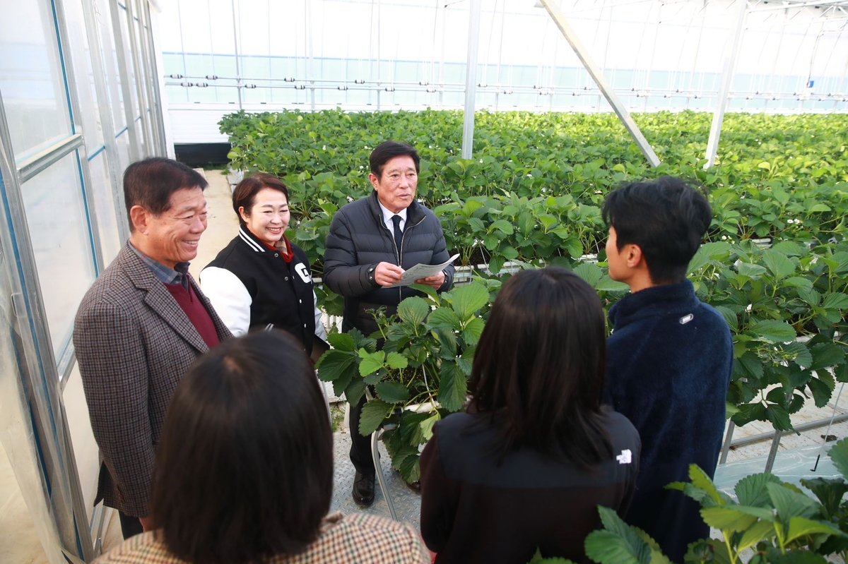 곡성군, 임대형 스마트팜 청년농 첫 딸기 수확