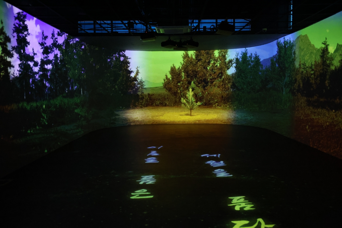 최재형 보은군수, '소나무 미디어 숲' 현장 점검…2월 재개관 '청신호'