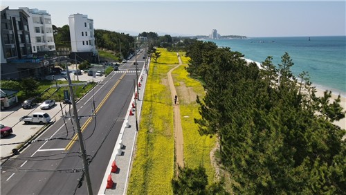 강릉시, 기후변화 대응 공원·녹지 힐링공간 조성 박차
