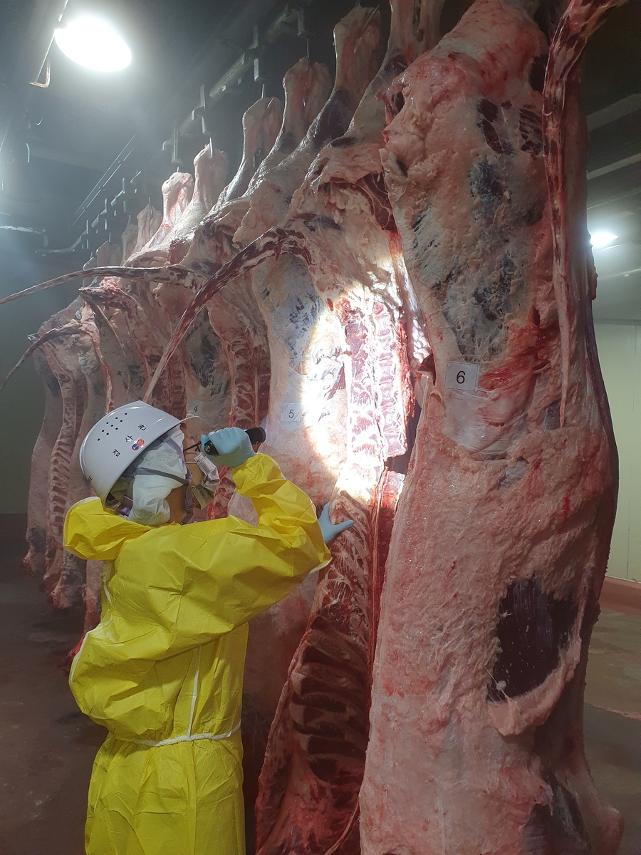 충북도, 설 명절 대비 축산물 안전성 검사 총력