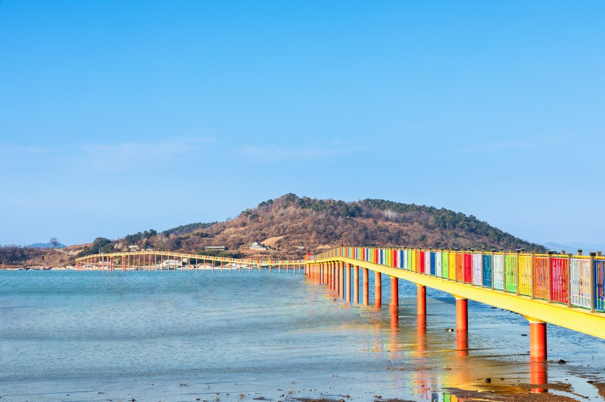 고흥군, 중앙아시아 고려인 청소년에게 고흥의 매력을 알리다