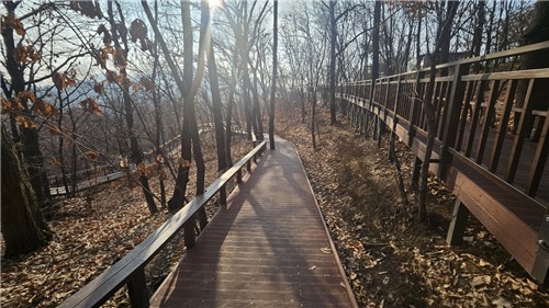 서초구, 도구머리근린공원 무장애숲길 활짝 열어