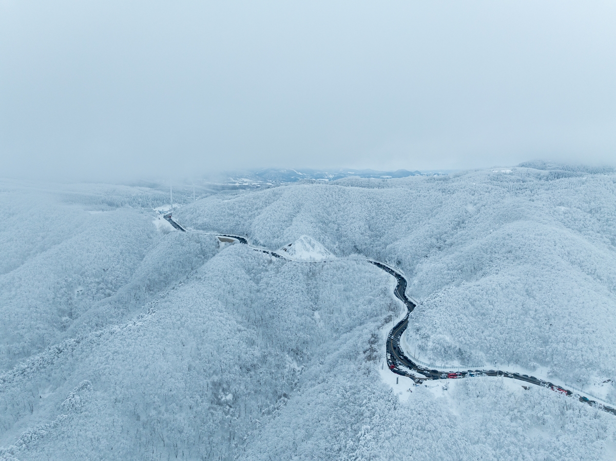 강릉의 진짜 매력 '눈꽃이 길이 되는 곳'