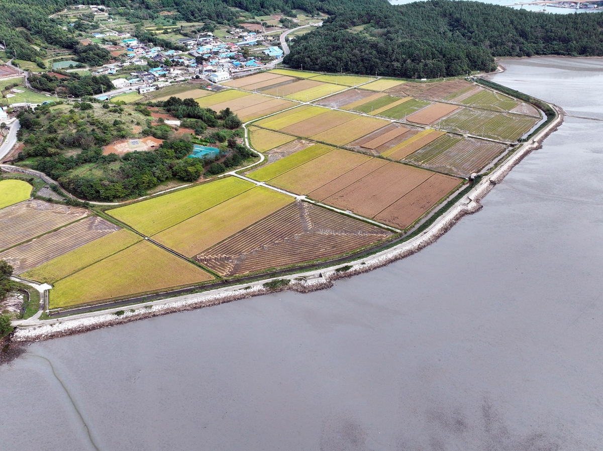 장흥군, '회진 장산방조제 개보수' 총사업비 32억 원 확보