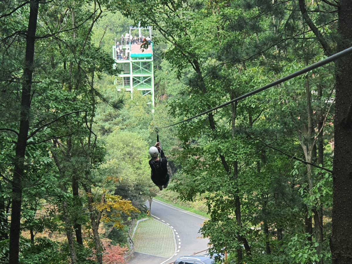 증평군, 좌구산휴양랜드 산림레포츠시설·캠핑장 3월 1일 개장