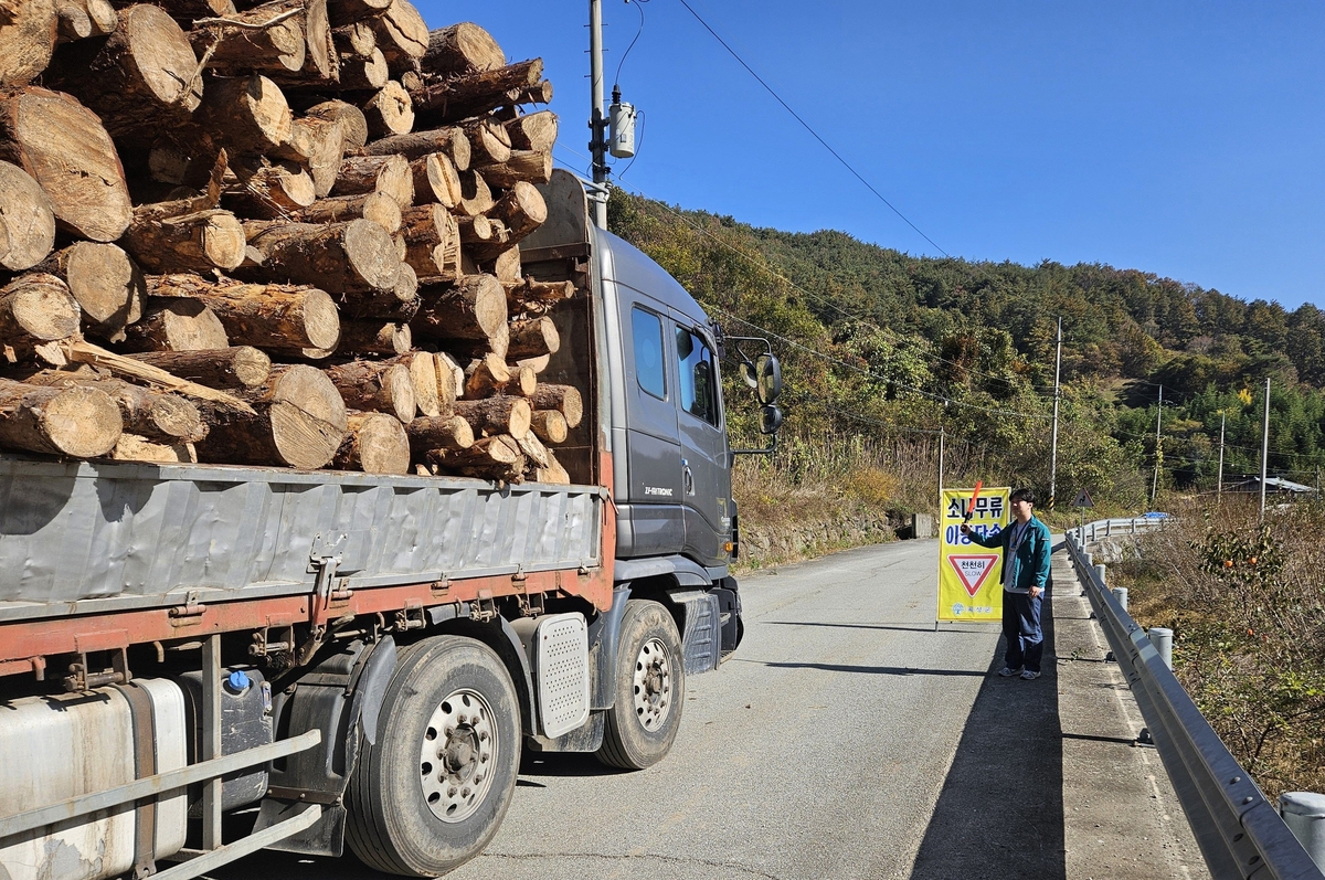 전남도, 소나무재선충병 인위적 확산 강력 차단