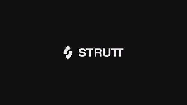 [PRNewswire] Strutt ev¹, iF 디자인 어워드 수상