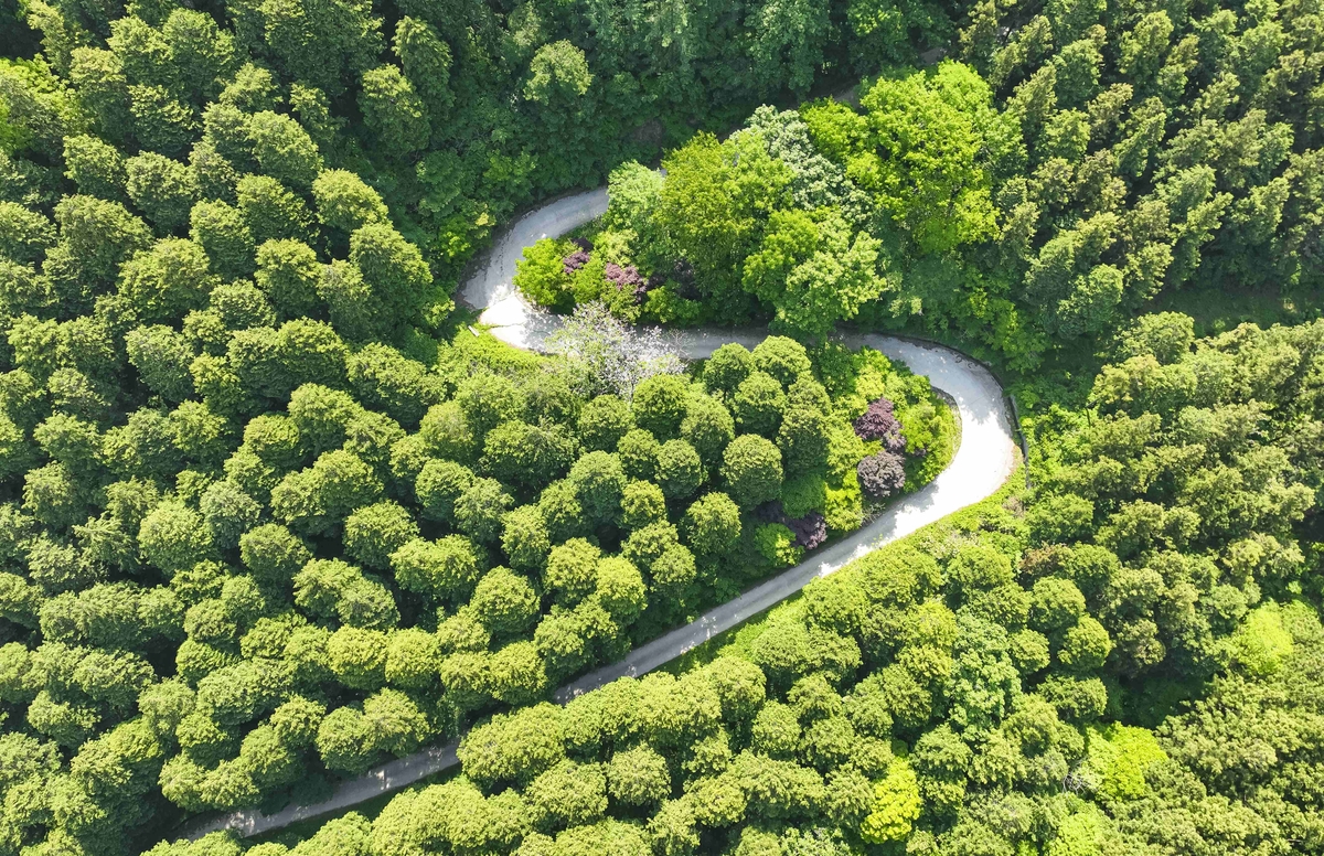 장성군, '축령산 자연휴양림 조성사업' 추진 본격화