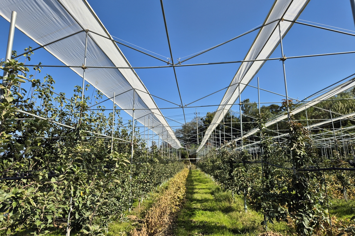 보은군, 스마트농업특화지구 육성사업 본격 추진