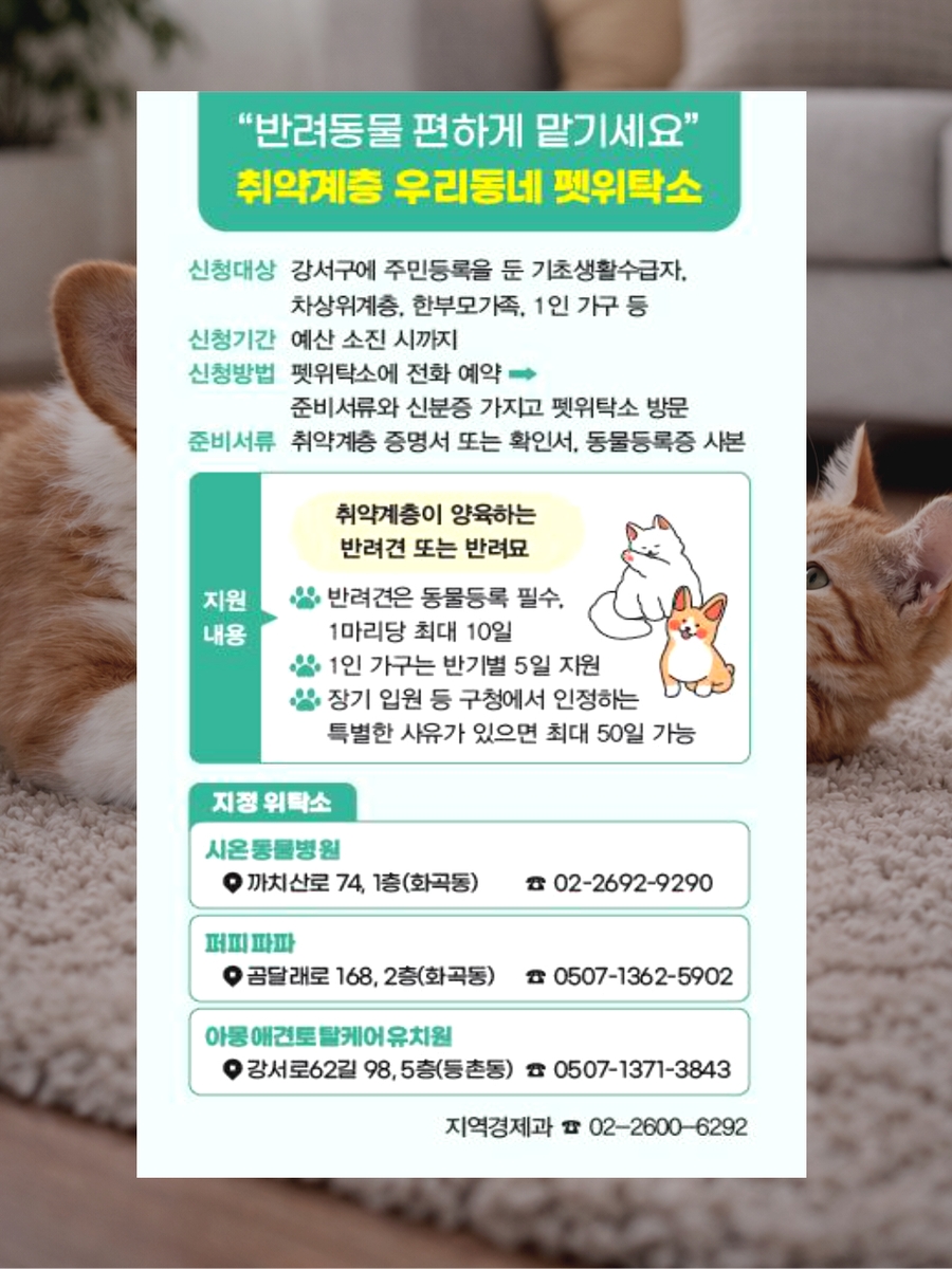 집 비울 때 반려동물 10일까지 돌봄 지원…서울 강서구, '펫위탁소' 운영