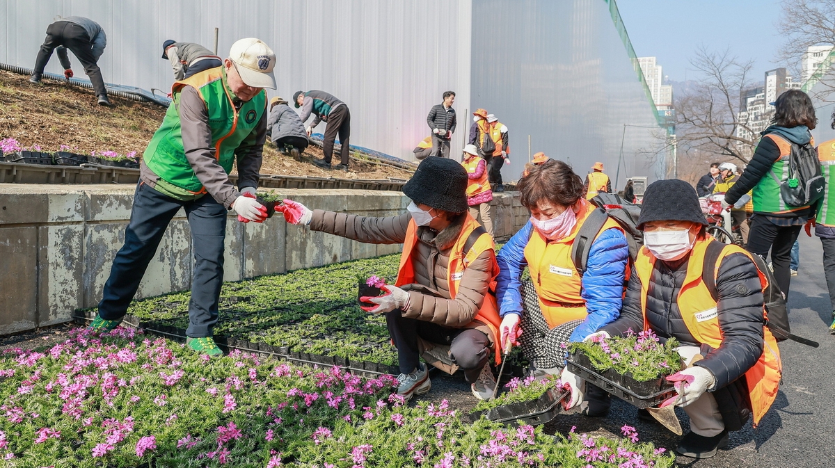 과천시, 굴다리길 '시민 참여 꽃길'로 새 단장