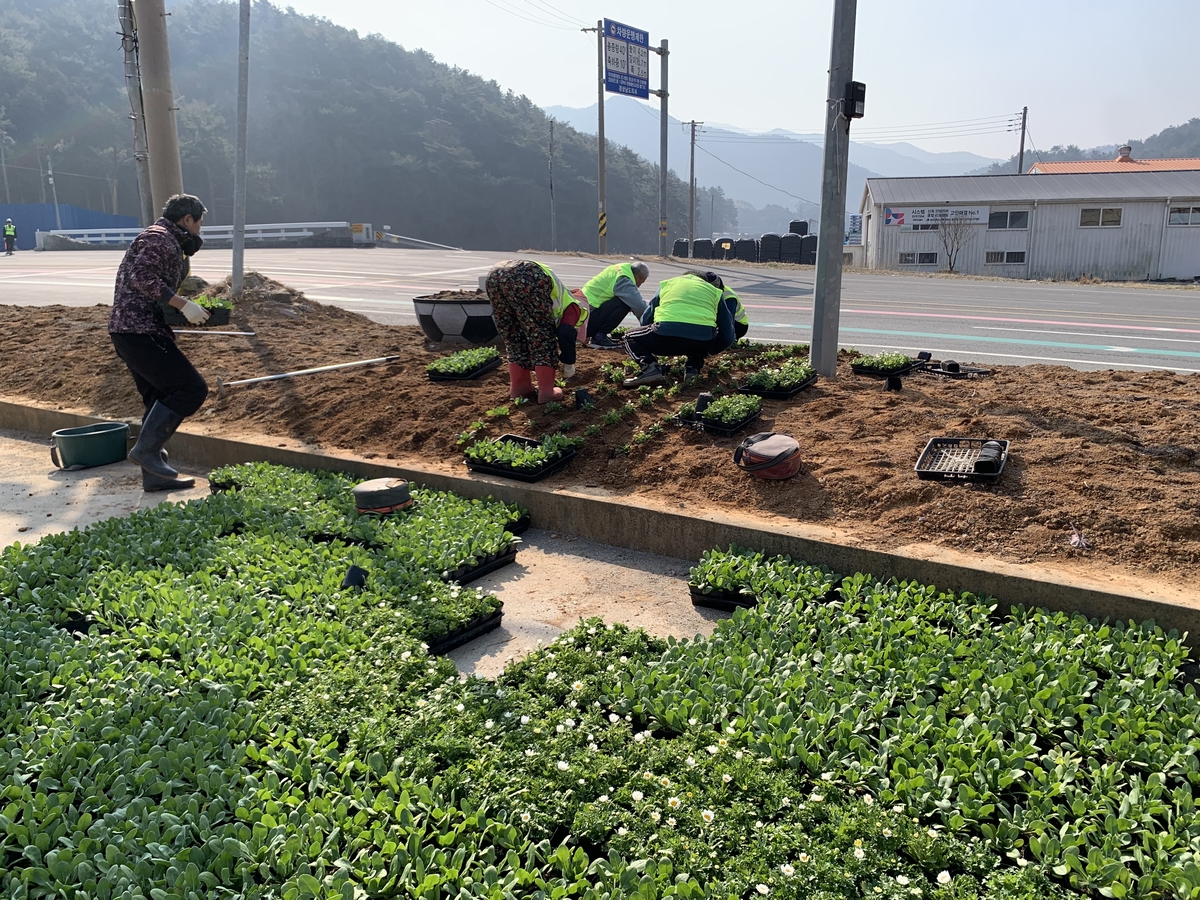 남해군의 봄, 8만 송이 꽃물결로 물들다