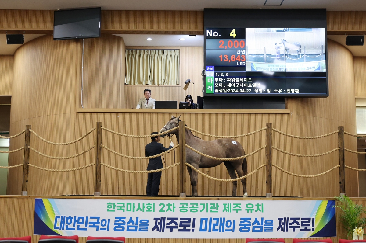 올해 첫 2세 경주마 경매 제주서 열려…최고가 6,300만원 기록