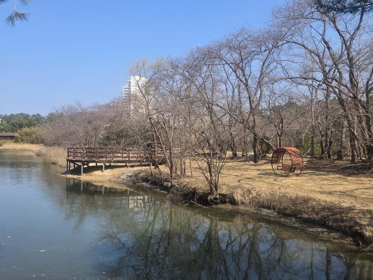 강릉시, '경포 달빛품은 호수정원' 조성 완료