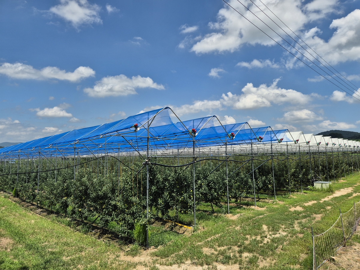 보은군, 스마트 과수원 특화단지 조성사업 본격 추진