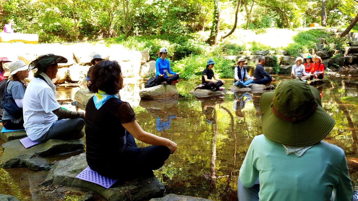 합천 오도산 치유의 숲, '2026 우수웰니스 관광지' 재지정