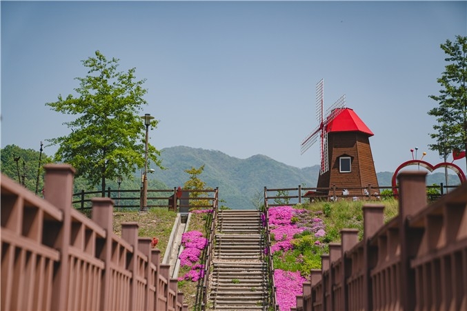 증평 좌구산휴양랜드, 낮엔 꽃길·밤엔 감성 빛…봄 힐링 관광지로 눈길