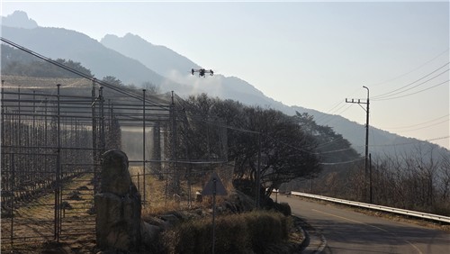 산청군, 명품사과 드론으로 지킨다