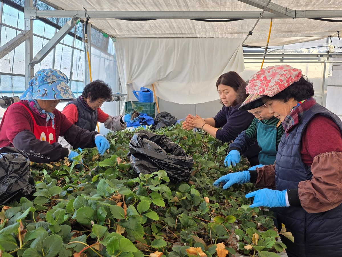 전남도, 여성농업인 복지사업 더 넓고 두터워진다