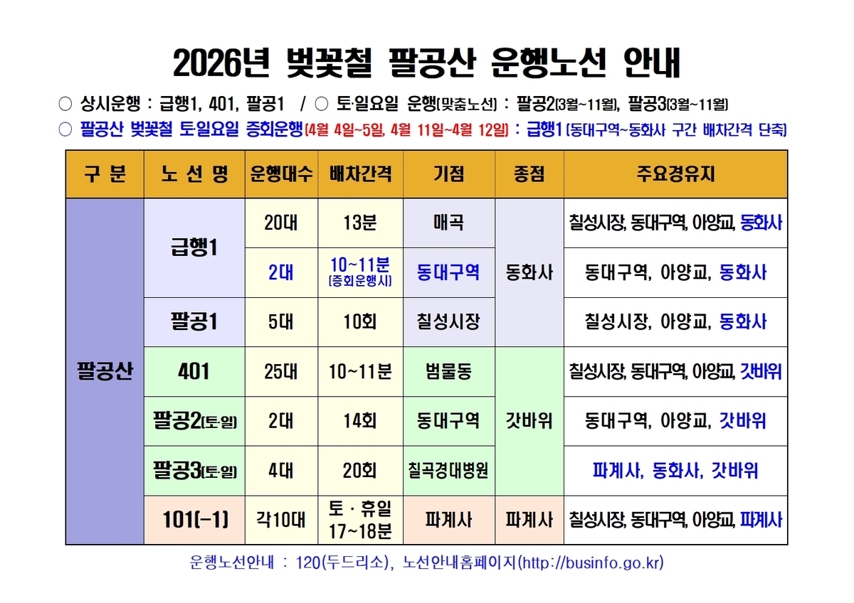 대구 팔공산 벚꽃 나들이, 시내버스로 편하게 즐기세요
