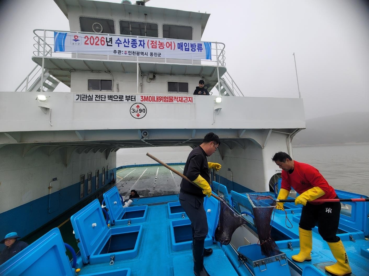 옹진군, 점농어 종자 16만마리 방류…자원조성사업 시작