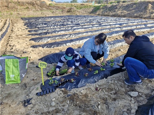 증평 삼보산골마을