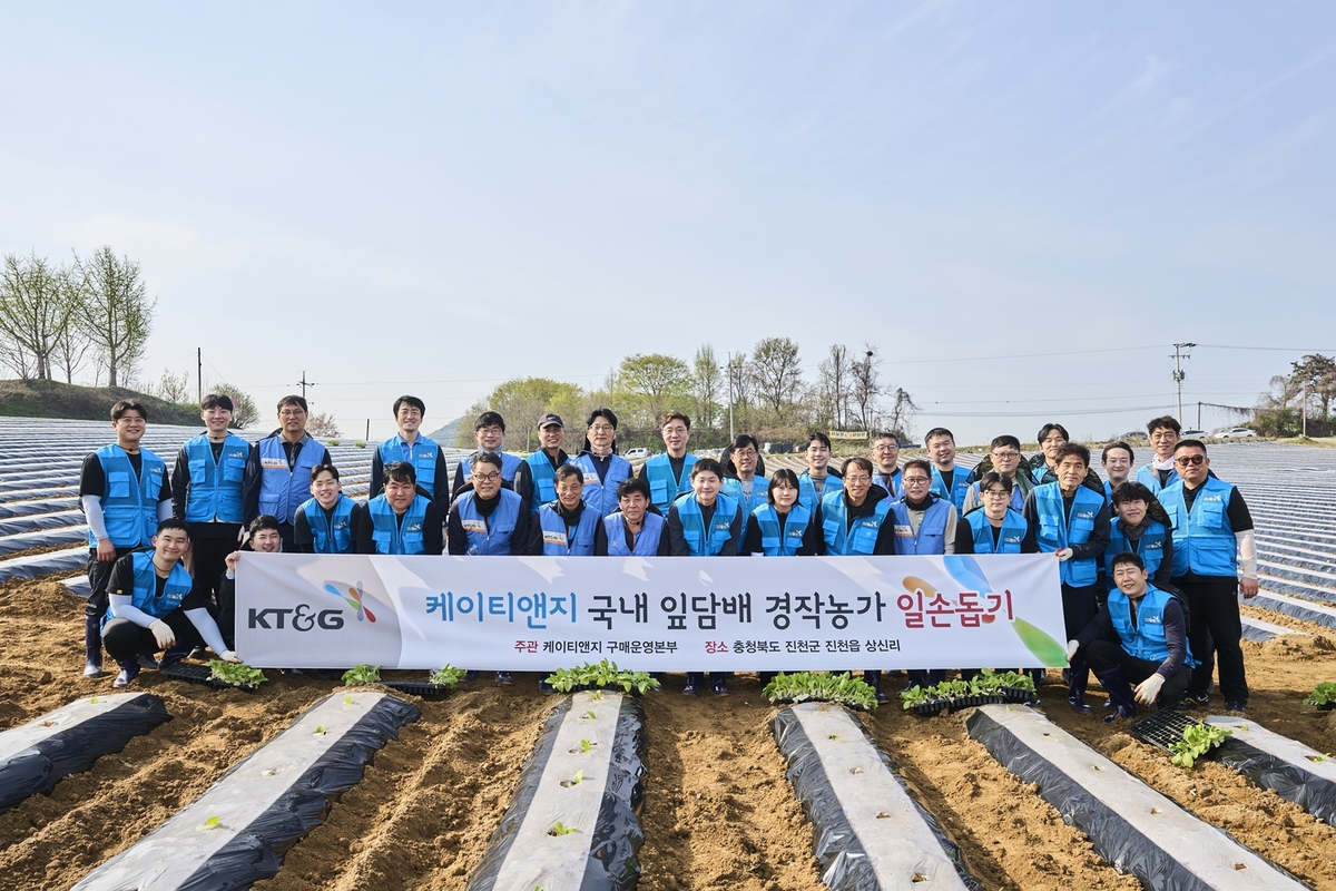 '20년째 이어온 상생'…KT＆G, 잎담배 농가 모종이식 일손돕기 나서