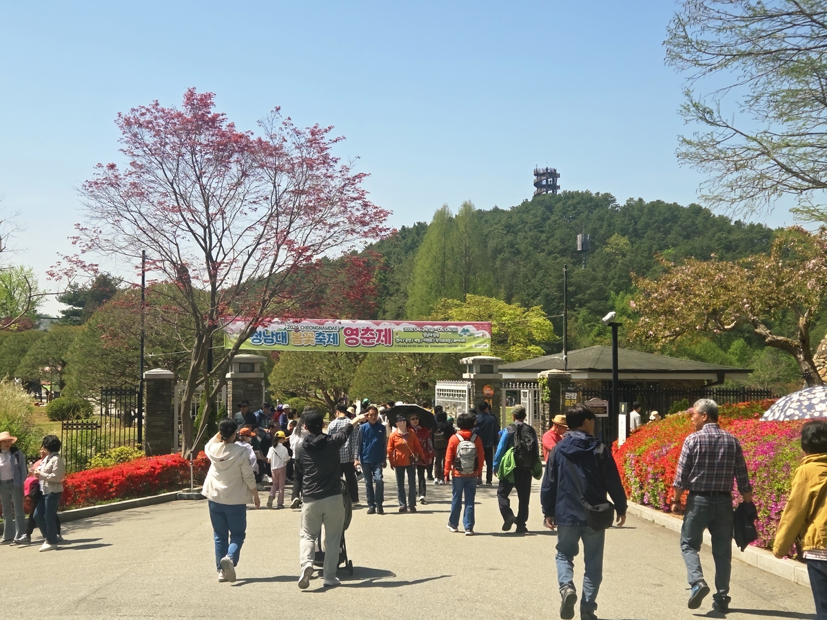 대통령의 정원에서 열리는 '청남대 영춘제' 24일 개막