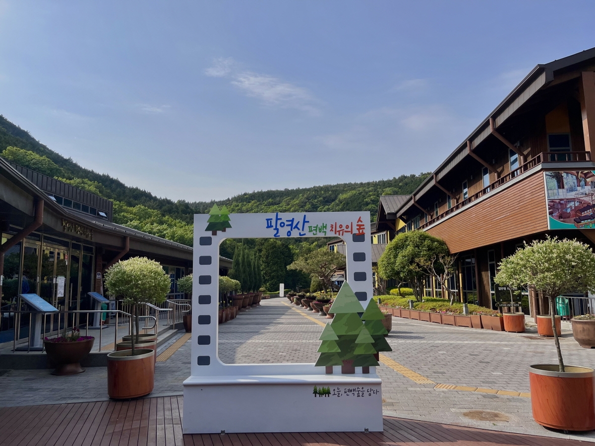 고흥 팔영산 편백 치유의 숲, 봄맞이 볼거리·즐길거리 대폭 확충