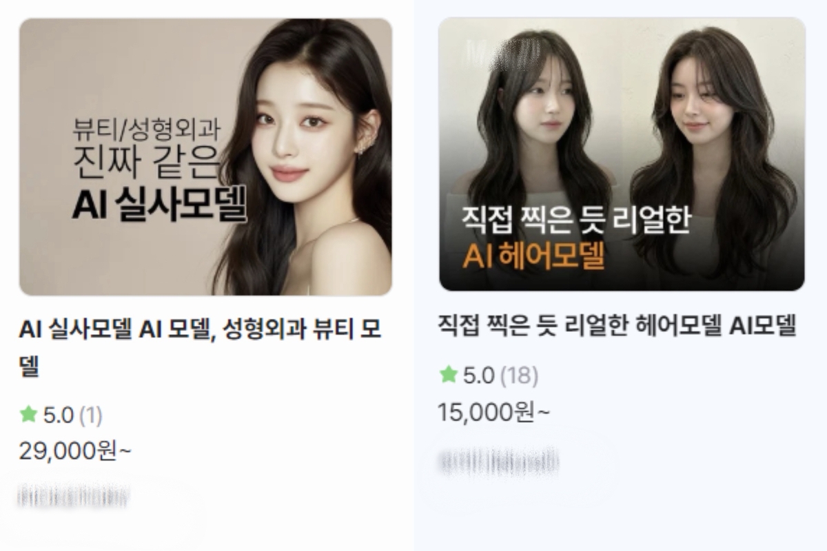 AI 모델 제작 서비스