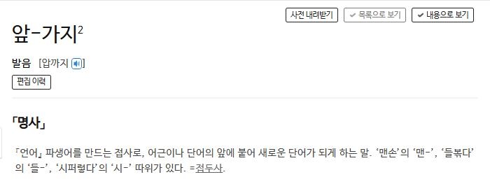 파생어를 만드는 접두사, 즉 앞가지에 대한 사전의 정의