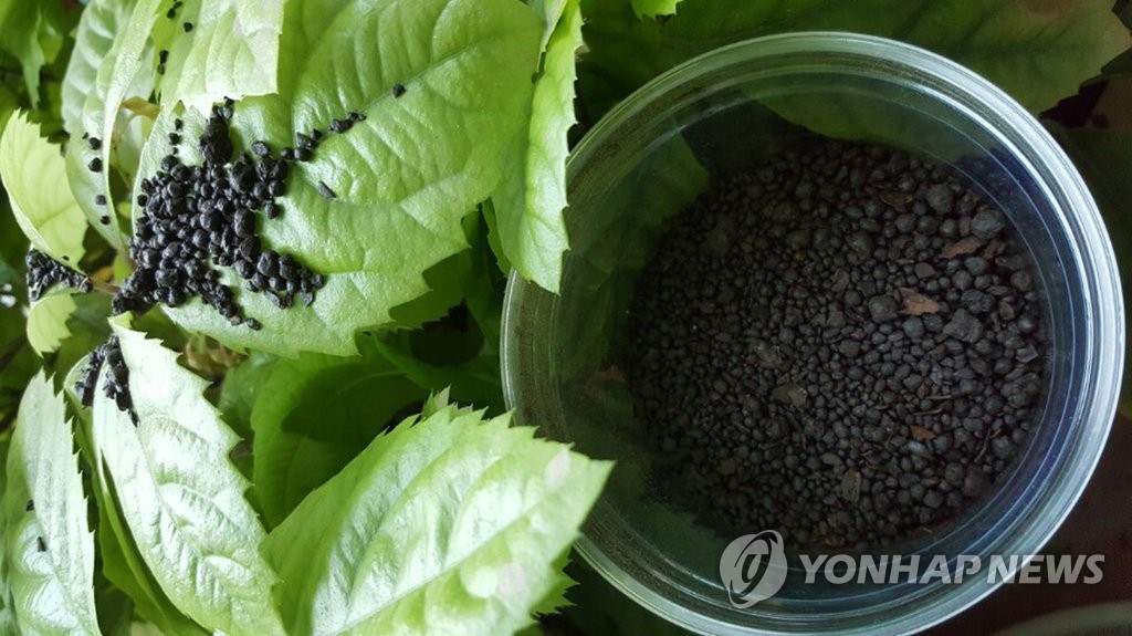 아주까리박 비료