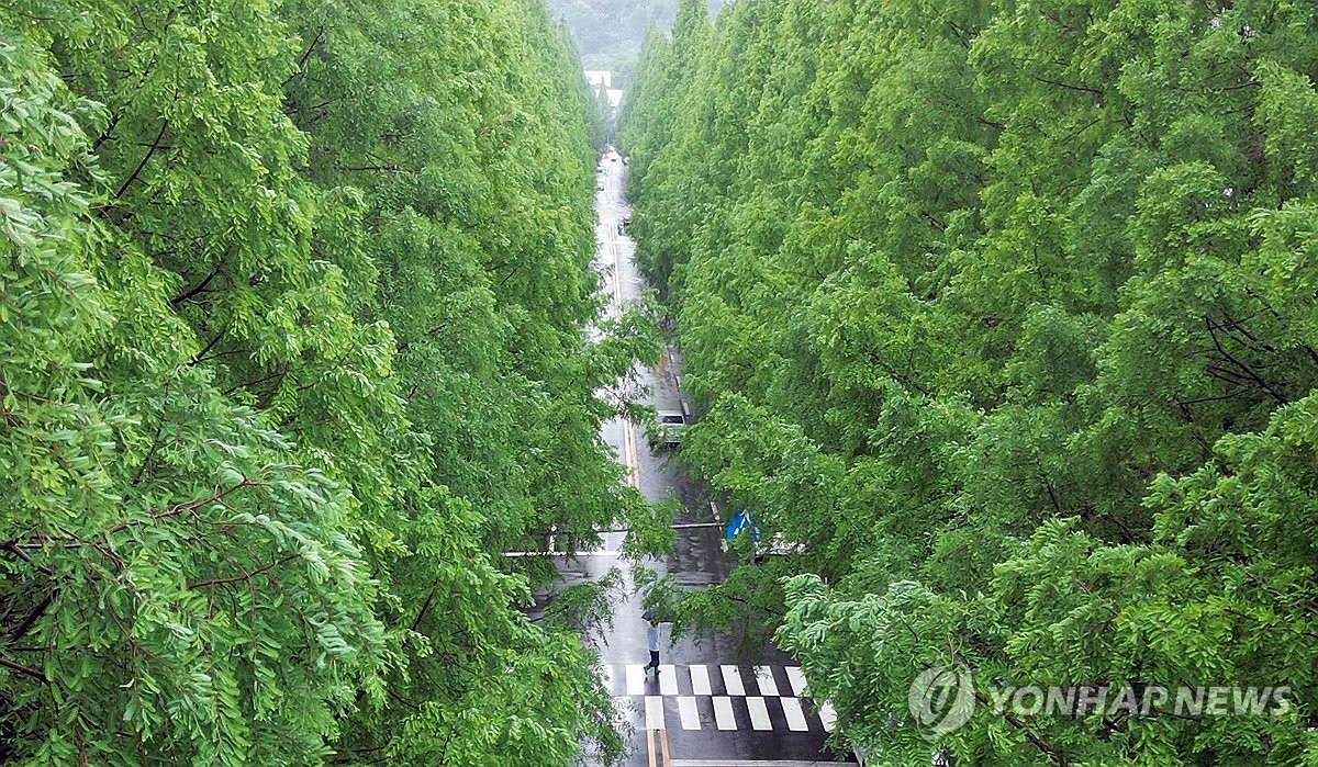 비 내리는 창원