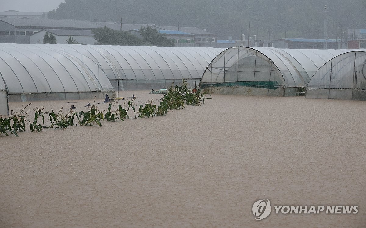 물에 잠긴 청주 오송 일대