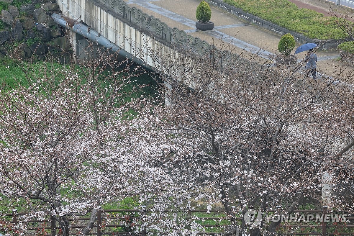 비 내리는 제주
