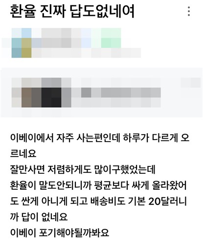 고환율에 직구 가격 경쟁력 상실