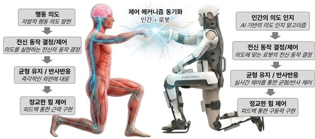 연구 모식도