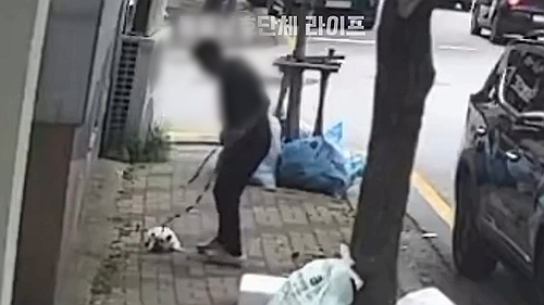 광주서 반려견 질질 끌고 나뭇가지로 때려…경찰 수사 