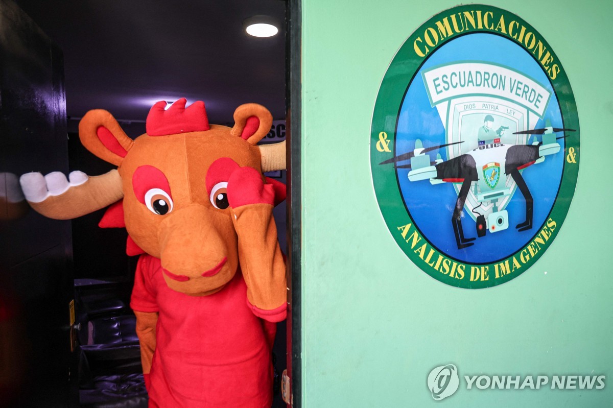 월드컵 마스코트로 변장한 페루 경찰