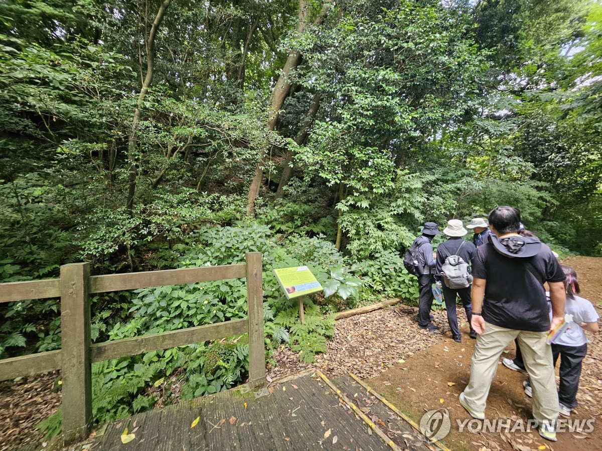 지난해 세계자연유산 거문오름 트레킹