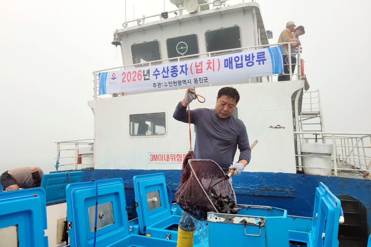 옹진군, 덕적·자월 해역 넙치 26만 마리 방류