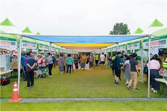 제16회 향수옥천 옥수수·감자축제 성황리 마무리…지역 대표 여름축제 입증