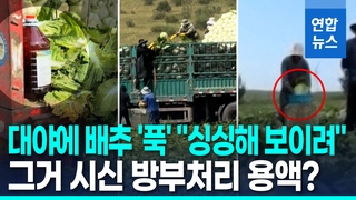 [영상] '용액에 푹' 中 포름알데히드 배추 파문…우리 식탁도? '공포'