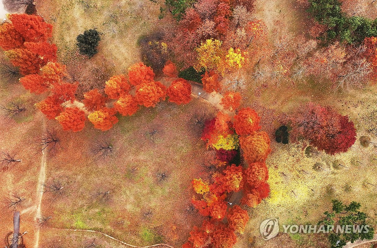 화려했던 가을의 마지막
