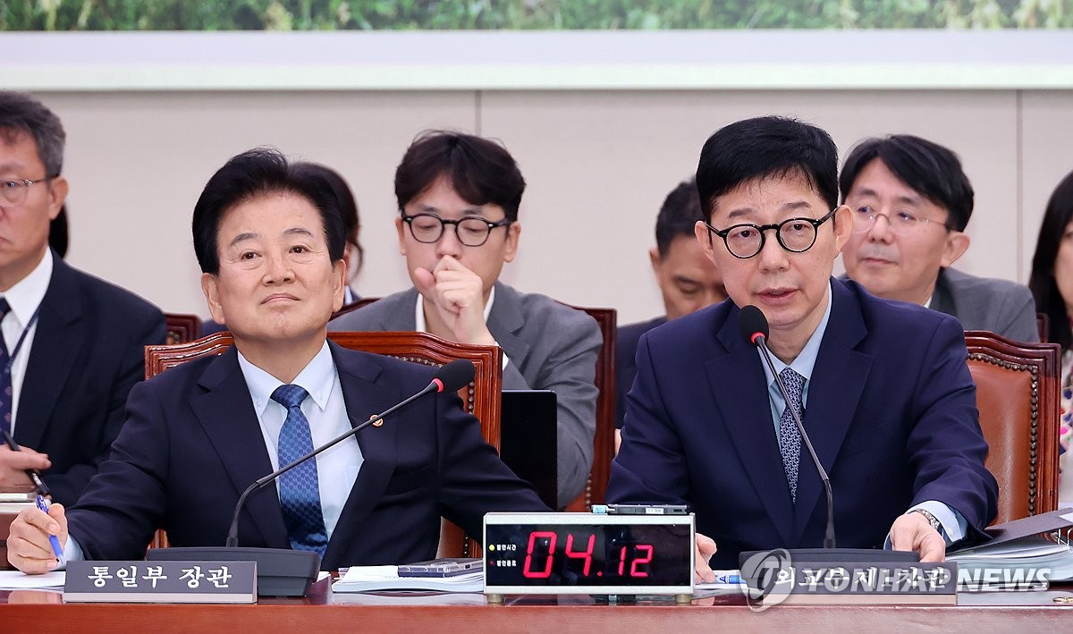 외통위, 답변하는 박윤주 1차관