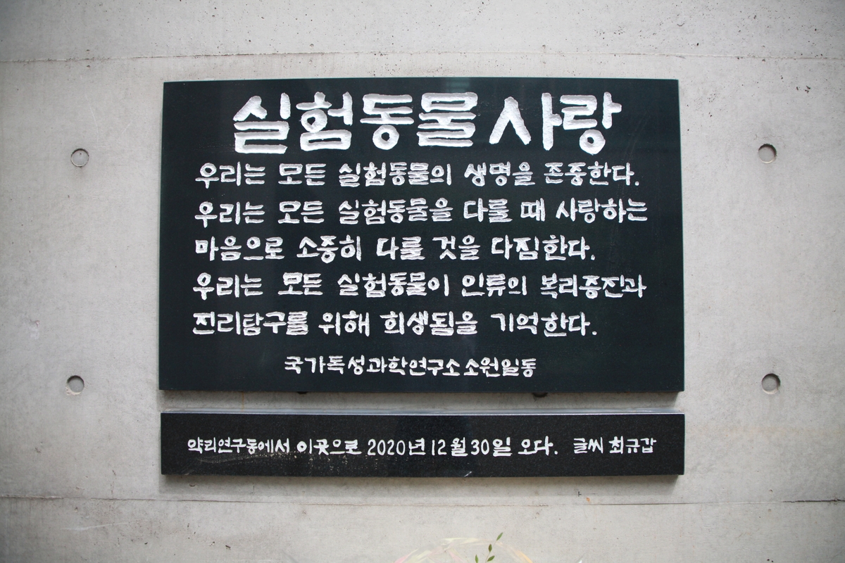 실험 동물 사랑