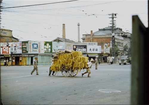 스웨트 씨가 찍은 1954년 을지로 풍경