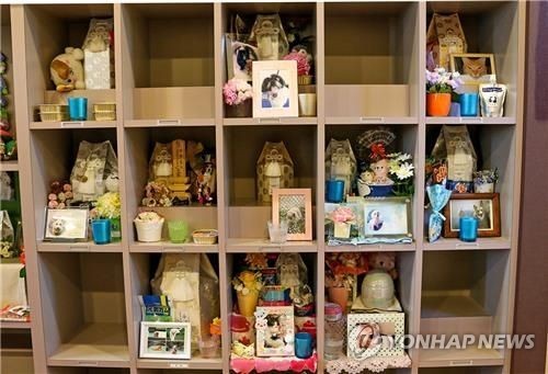 애견 봉안당 시설 
